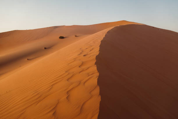 Sunset over the desert of Al Khatim in Abu Dhabi, Emirates
